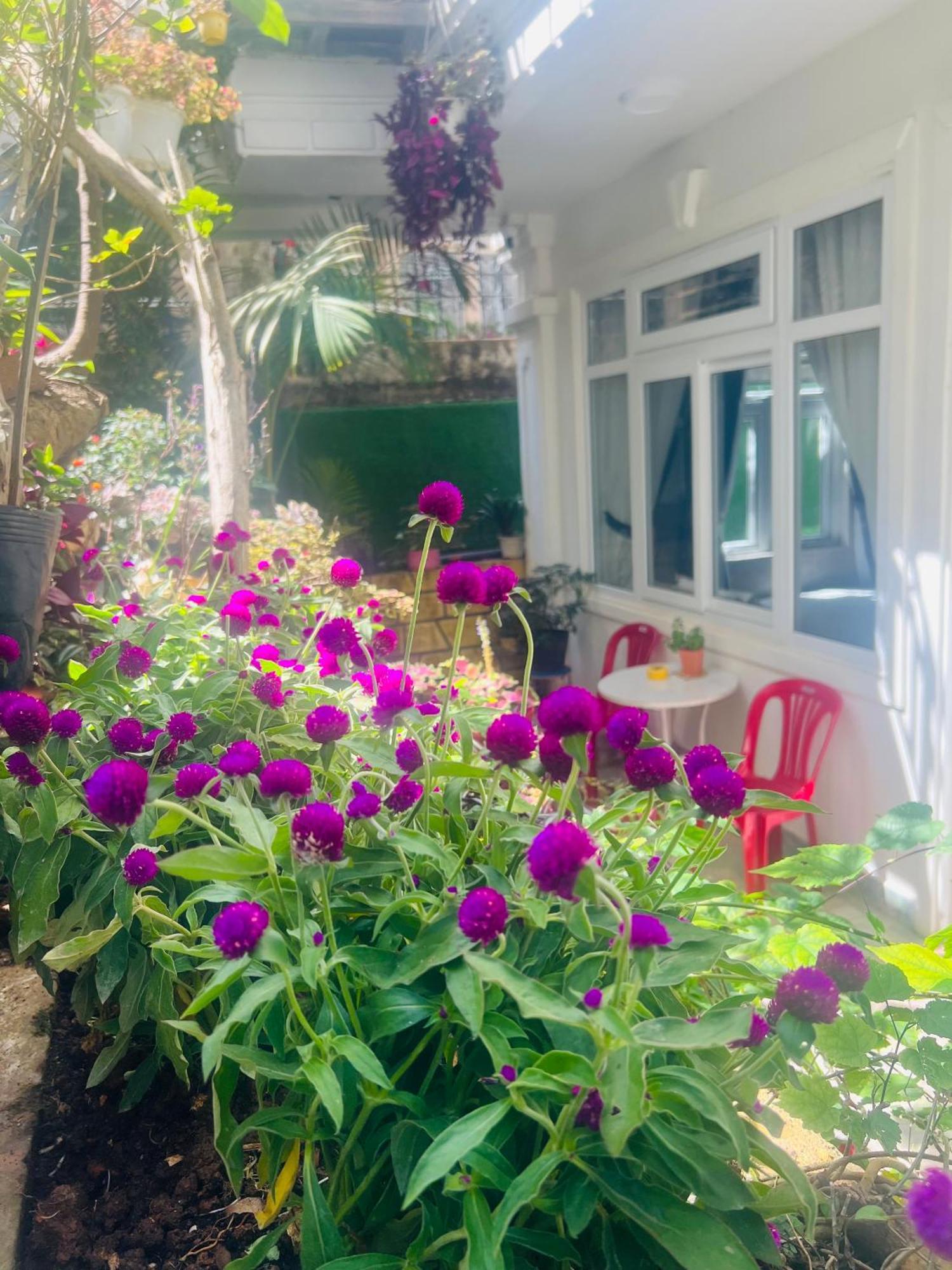 Villa - Hotel Nam Khang 2 Dalat ภายนอก รูปภาพ