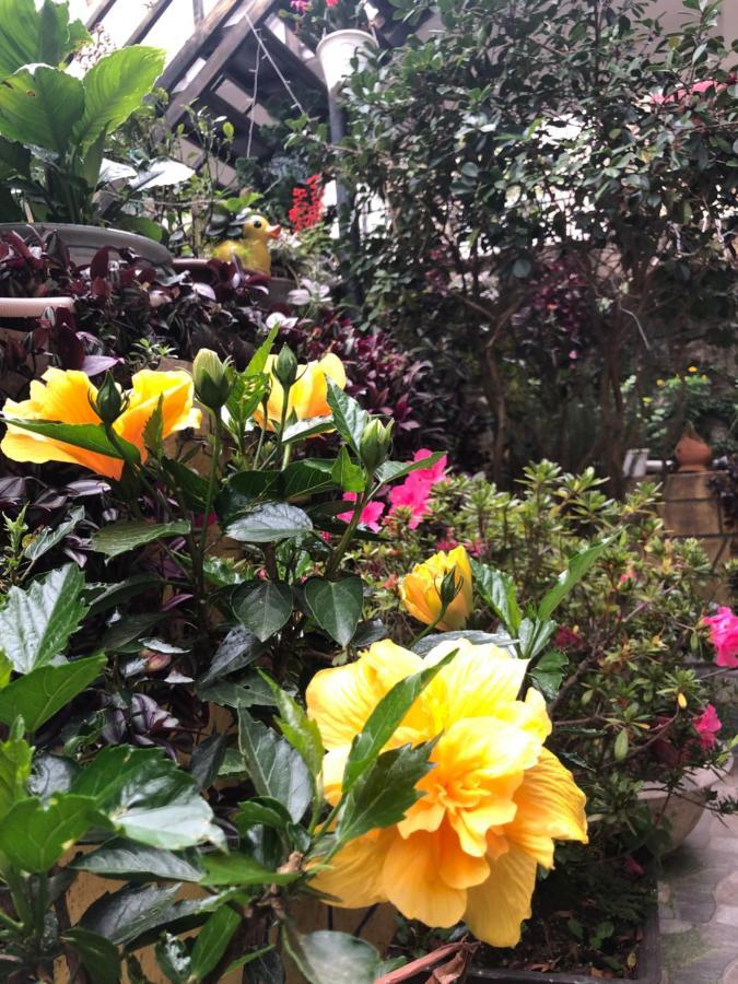 Villa - Hotel Nam Khang 2 Dalat ภายนอก รูปภาพ